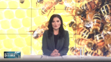 Produsele apicole considerate tratament in sezonul virozelor Romania TV